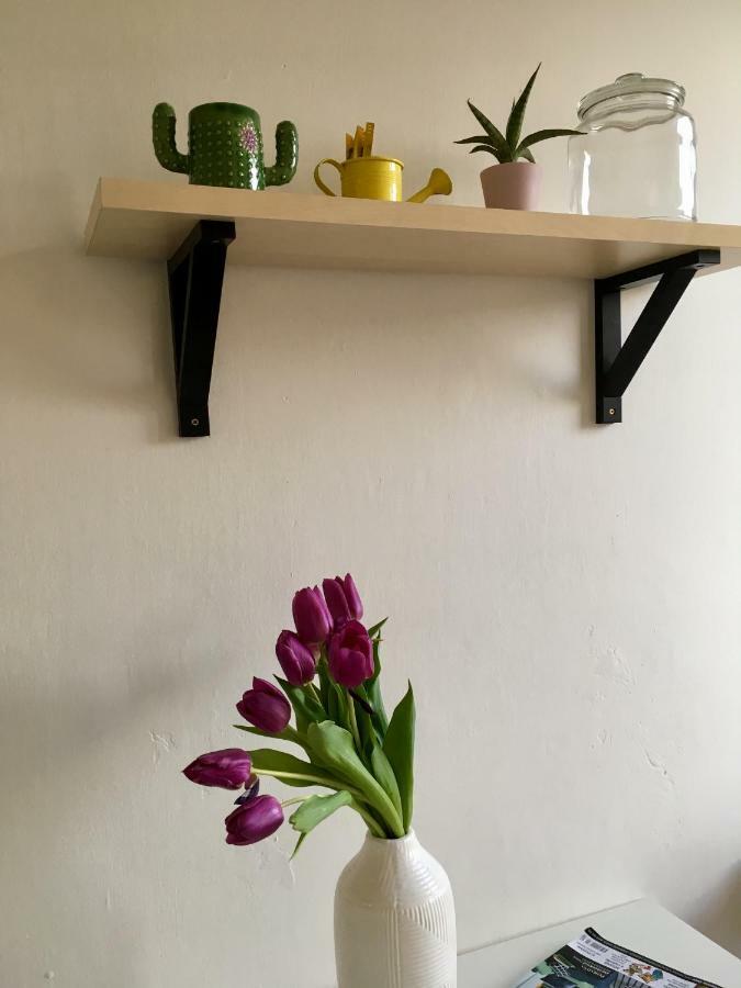 ברטיסלאבה Blu Apartment In Old Town מראה חיצוני תמונה